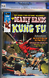Deadly Hands of Kung-Fu #2